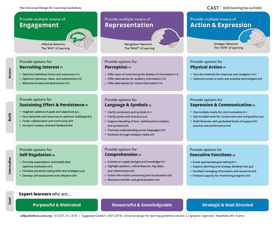 UDL graphic organizer