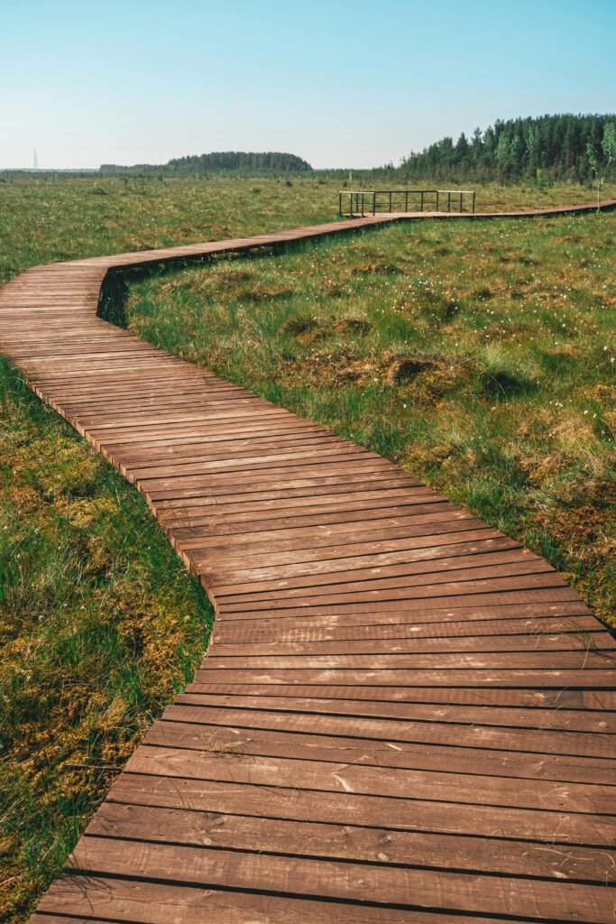 Wooden boardwalk winding through lush, rural landscape on a sunny day.
