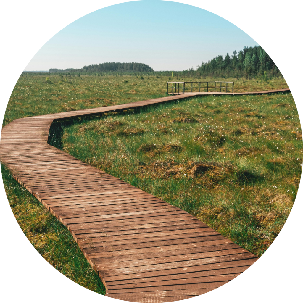 Winding wooden walkway on a grassy plain with trees and a mountain in the distance, on a sunny day